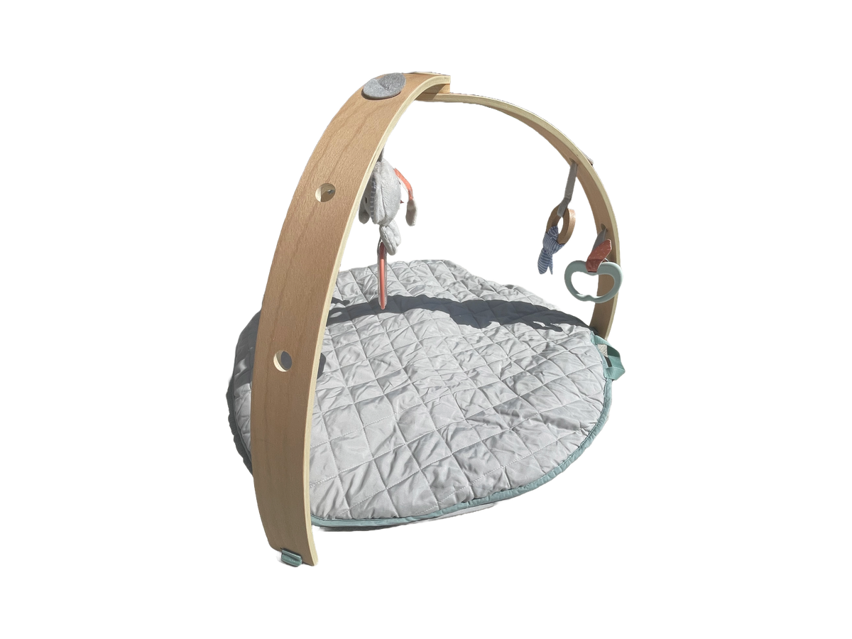 Infant Play Mat
